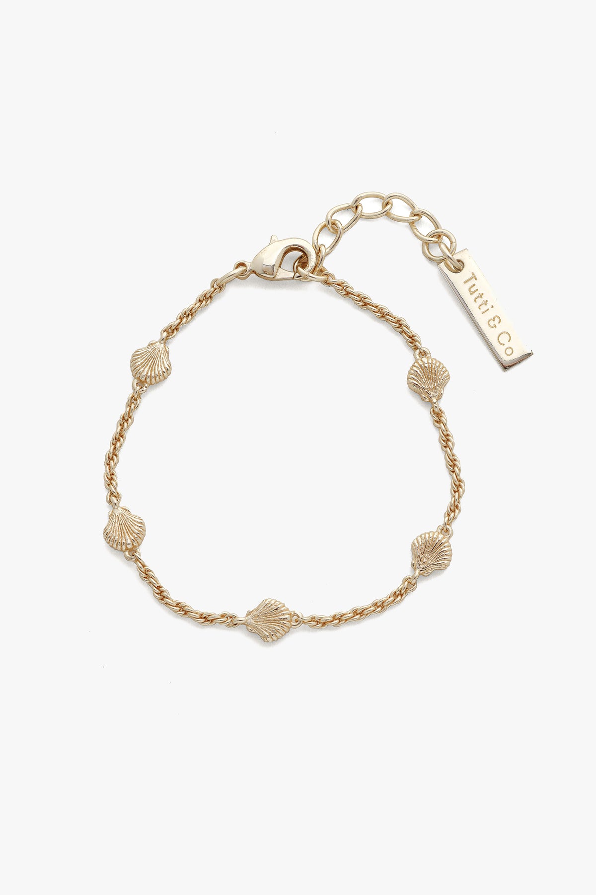 Shell Bracelet