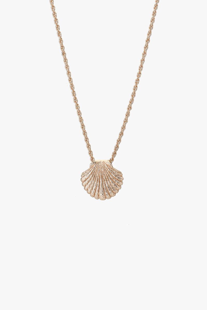 Shell Necklace