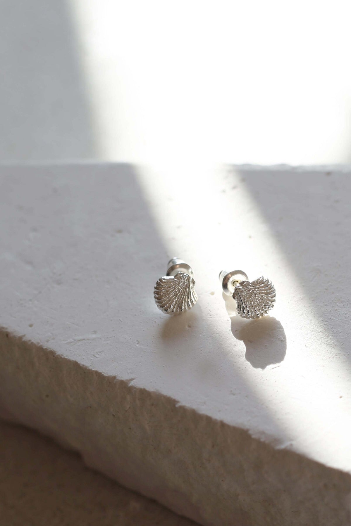 Shell Earrings